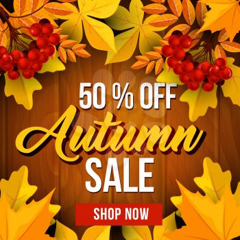 Autumn sale poster template with yellow leaves on wooden background. Fall season discount price banner with frame of maple foliage, orange chestnut leaf and rowanberry fruit branch for retail design