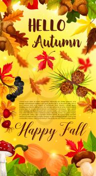 Hello Autumn or Fall banner of September forest nature sun light and falling leaves of oak, maple or aspen and elm tree, rowan berry and acorn harvest. Vector template for autumn design