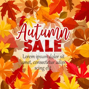 Autumn sale poster for September seasonal shopping. Vector background of maple, oak or elm and rowan tree leaf pattern of falling leaves for shop autumn promo offer design