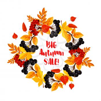 Autumn Big Sale poster template for seasonal shopping discount promo design. Vector wreath of rowanberry harvest, autumn foliage of maple, poplar or birch and aspen tree leaf or oak acorn