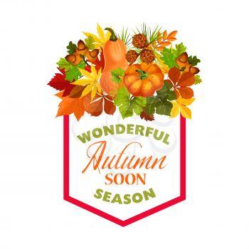 Autumn season poster of fall harvest and foliage, pumpkin or rowan berry and maple, poplar or birch and chestnut leaf, oak acorn for autumn seasonal holiday wishes greeting card. Vector frame design