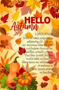 Hello Autumn banner with orange leaf and pumpkin. Yellow and red fallen foliage with pumpkin vegetable, wheat and rowanberry branch poster for Autumn harvest celebration and Thanksgiving Day design