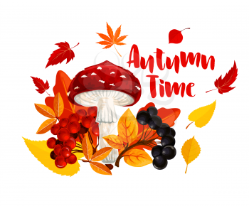 Autumn or fall nature season poster. Orange leaf of maple tree, forest mushroom and berry, yellow foliage of chestnut and birch, rowanberry fruit branch and fly agaric for autumn themes design