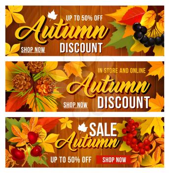 Autumn sale banners of up to 50 percent discount off for September seasonal discount promo shopping. Vector design set of maple, oak and birch tree leave and forest berry harvest of rowan and dog-rose