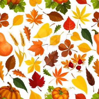 Autumn seamless pattern for September holiday season. Vector oak acorn, maple and poplar and aspen leaf, pumpkin vegetable, dog-rose and rowanberry berries harvest, wheat or rye