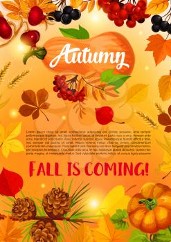 Autumn harvest banner template. Fall nature season poster with orange leaf, pumpkin vegetable, autumn foliage of maple tree, rowanberry and briar berry, pine cone for Thanksgiving Day design