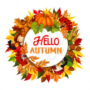 Hello Autumn poster of fall foliage, maple leaf or oak acorn and pumpkin with rowan berry and mushroom harvest. Vector falling chestnut, aspen or birch leaves design for autumn seasonal greeting card