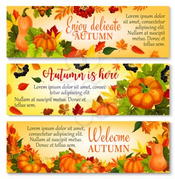 Autumn welcome banner with autumnal pumpkin, fallen leaves and forest berry. Fall season harvest pumpkin vegetable, orange maple foliage, acorn and rowanberry branches poster for autumn themes design