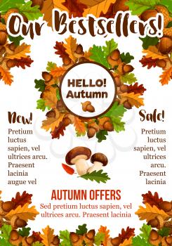 Autumn sale poster of price bestsellers and discount promo design template. Vector oak acorns, falling leaves of maple, aspen and rowan tree leaf with mushrooms and rowanberry berry harvest