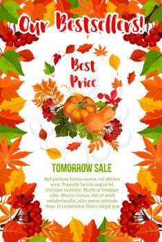 Autumn sale poster for seasonal shopping discount and bestseller offer. Vector best price design of pumpkin, autumn tree foliage of maple, oak acorn or elm and poplar or aspen falling leaves