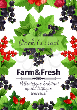 Berry and fruit banner of strawberry, black and red currant, raspberry, briar. Fresh farm berries cartoon poster, framed by fruit branches with green leaves for farm market label, food themes design