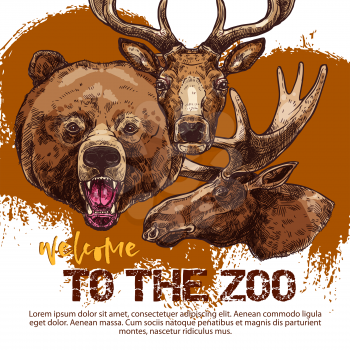 Zoo banner with animal sketches. Heads of roaring bear, deer and elk or moose, wild animal poster template for zoo advertising invitation, flyer or ticket design