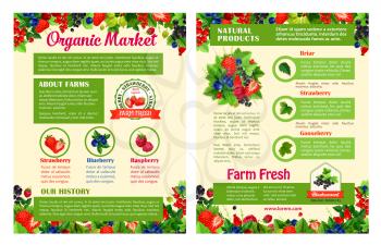 Fruit and berry organic food market poster templates. Strawberry, blueberry, raspberry, black and red currant, gooseberry, briar fruit branch with leaf and text layout with fresh farm berry badges