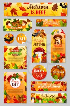 Autumn tag set of fall harvest pumpkin, mushroom, leaf. Orange maple foliage, pumpkin veggies, chanterelle, amanita and cep mushroom, acorn, briar and rowan berry, pine cone for autumn holiday design