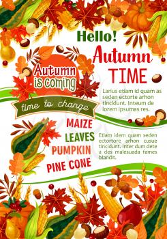 Hello Autumn banner of fall harvest celebration. Orange maple leaf, pumpkin and corn vegetable, apple fruit, forest mushroom, yellow foliage, acorn and cranberry for Thanksgiving Day poster design
