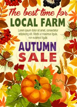 Autumn harvest sale poster with farm vegetable and leaf frame. Fall season ripe pumpkin vegetable and wheat, orange foliage of maple, rowan berry, pine and fir cone for promotion offer banner design
