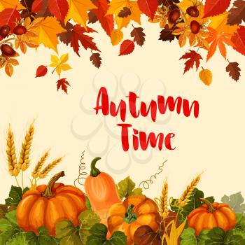 Autumn harvest and Thanksgiving Day poster. Fall leaf, maple tree yellow foliage, orange pumpkin vegetable, ripe wheat ear and briar berry branches for autumn nature season themes design