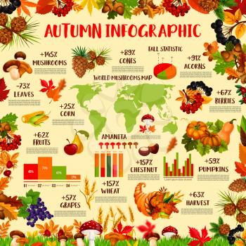 Autumn season nature infographic template. Fall harvest statistic graph, chart and world map with autumn leaf, pumpkin vegetable, apple fruit, mushroom, corn, grapes, forest berry and acorn icon