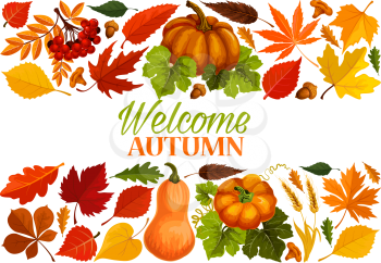 Autumn banner with border of fall leaf and harvest vegetable. Yellow maple leaves, orange pumpkin vegetable, acorn, red foliage of chestnut tree, forest mushroom, rowan berry, wheat for autumn design