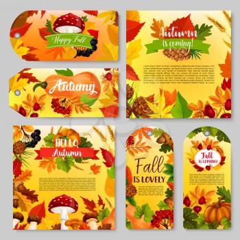 Autumn holiday gift tag and Thanksgiving Day poster set. Fall season leaf, pumpkin vegetable, orange foliage of maple, forest mushroom, acorn, berry and pine cone for autumn harvest celebration design