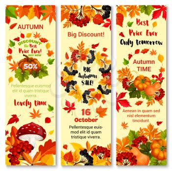 Autumn sale 50 percent off banners design template for autumn seasonal shopping discount promo in October . Vector set of maple leaf, oak acorn and birch foliage, berries and mushrooms