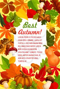Autumn leaf and pumpkin banner for fall season harvest template. Autumn nature frame of orange maple leaves, forest mushroom, oak tree branch with acorn and yellow foliage with text layout in center