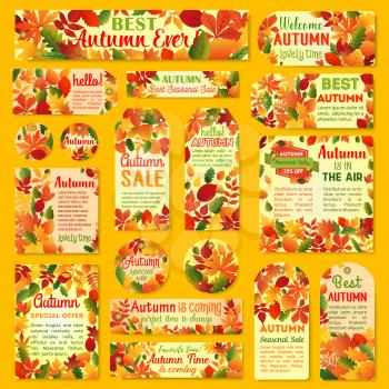 Autumn sale tag and label set with fall leaf. Orange maple leaves, yellow and red foliage of chestnut, oak and birch tree, acorn branch with price discount offer text layout for retail design
