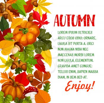 Autumn season poster with pumpkin and fall leaf. Autumn nature yellow leaves of maple tree, harvest pumpkin vegetable, foliage of chestnut, forest mushroom, acorn branch border for banner design