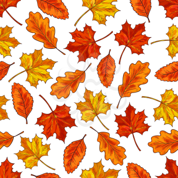 Autumn leaf seamless pattern background. Orange fallen leaves of maple, oak and birch trees. Autumn fallen leaves sketch pattern for autumn season themes design
