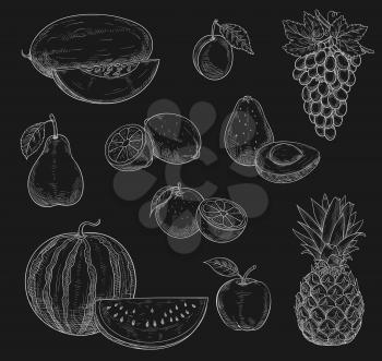 Exotic fruits chalk sketch icons on chalkboard. Vector isolated symbols of farm grown watermelon, melon and grape or tropical pineapple, apple and pear or papaya, orange or mango and avocado