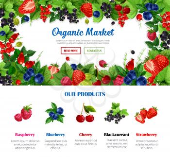 Fruit and berry frame for organic food market poster template. Strawberry, cherry, blueberry, raspberry, black and red currant, gooseberry and briar branches with green leaf for web banner design