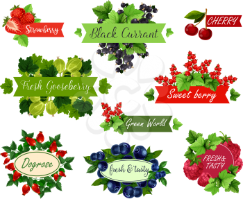 Berry and fruit label set. Strawberry, raspberry, cherry, blueberry, red and black currant, gooseberry and briar ripe fruit and green leaf with ribbon and badge for juice, dessert and jam design
