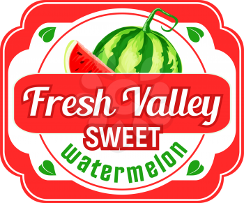 Watermelon fruit label with sweet summer berry. Juicy watermelon isolated badge of organic natural food for healthy drink, juice or dessert emblem, farm market advertising banner design
