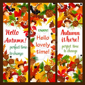 Autumn leaf banner set with fall season nature frame template. Orange and yellow foliage, forest mushroom, rowan and briar berry, maple and oak leaves, acorn and pine cone for autumn holiday design
