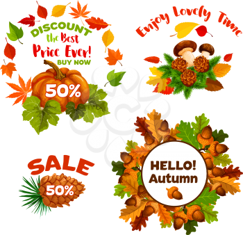 Autumn Sale promo 50 percent discount price off icon design set. Vector maple leaf, oak acorn or pumpkin and mushroom harvest with rowan berry and pine or fir tree cone for Hello Autumn greeting card