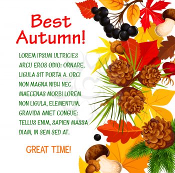 Autumn poster template of fall forest nature. Autumn season leaf, acorn and mushroom banner border with yellow and orange foliage of maple and chestnut tree, rowan berry and pine cone for fall design