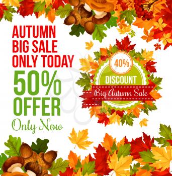 Autumn sale discount offer banner template. Autumn maple leaf, mushroom, acorn and rowan berry branch retail promotion poster design, supplemented with yellow and orange foliage frame and text layout
