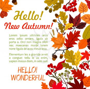 Hello Autumn poster with fall leaf border. Autumn season leaves, orange and yellow foliage of forest tree, acorn branch, red rowan berry with text layout for autumn nature holiday greeting card design