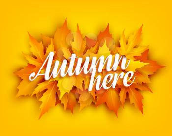 Autumn leaf poster of orange and yellow maple foliage. Fall nature season banner with bunch of september leaves for autumn holiday greeting card and fall fest invitation template design