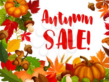 Autumn seasonal sale offer promotion poster. Fall leaf and pumpkin vegetable frame with orange and yellow foliage of forest tree, mushroom and acorn branch for discount card or tag design