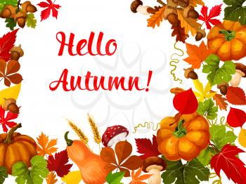 Hello Autumn poster and fall season greeting card. Fallen leaf frame with orange pumpkin vegetable, yellow foliage of maple and oak, acorn, forest mushroom and wheat for Autumn nature themes design