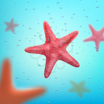 Starfish floating in ocean underwater. Vector poster for summer holiday vacation or tropical paradise travel or summertime tourism template. Marine starfishes mollusks in sea water of oceanarium