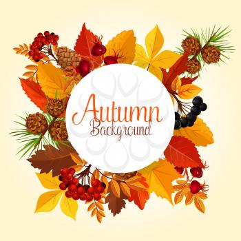 Autumn leaves and berries poster. Vector background of september tree foliage of maple, oak acorn or elm and maple leaf, pine or fir cone, rowanberry or dog-rose harvest for Thanksgiving autumn sale