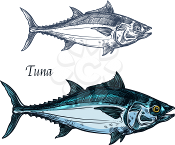 Tuna fish vector sketch icon. Isolated sea or atlantic mackerel scombridae fish species. Isolated marine fauna symbol for seafood or fish food restaurant sign emblem, fishing club or fishery market