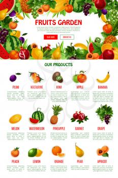 Fruit shop or market landing web page. Vector template for fresh farm garden fruits plum, orange or exotic tropical kiwi and banana, apple or melon and watermelon harvest, nectarine peach or pear