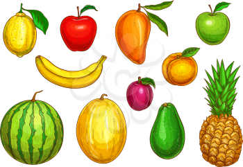 Fruits isolated icons set. Vector exotic pineapple, mango or papaya and farm garden apple, watermelon or melon and avocado, harvest of apricot or pear and lime or orange citrus fruit and plum