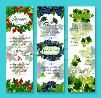 Berries banners for berry shop or farmer market. Vector set of dogrose berry, gooseberry or strawberry and cranberry harvest, juicy black or red currant and garden raspberry, blueberry or blackberry