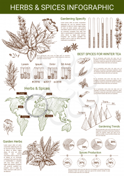 Spices and herbs infographics template. Vector design elements and diagrams on herbal seasonings on world map, thyme, oregano and tarragon percent share for condiment and garden spice production