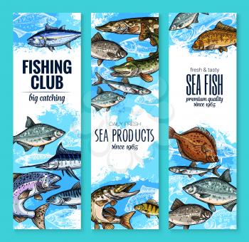 Fishing club banners of fresh fisherman fish catch. Vector set of sea marlin, flounder or salmon and tuna, fisher sea products trout, navaga or herring sprat and carp, eel or bream and burbot