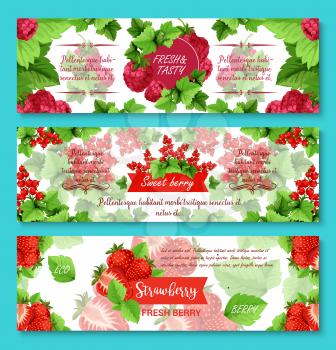 Berries banners for fruit or berry shop. Vector set of strawberry, raspberry or blueberry and blackberry, forest cranberry or garden cherry and organic red currant and blackcurrant berries